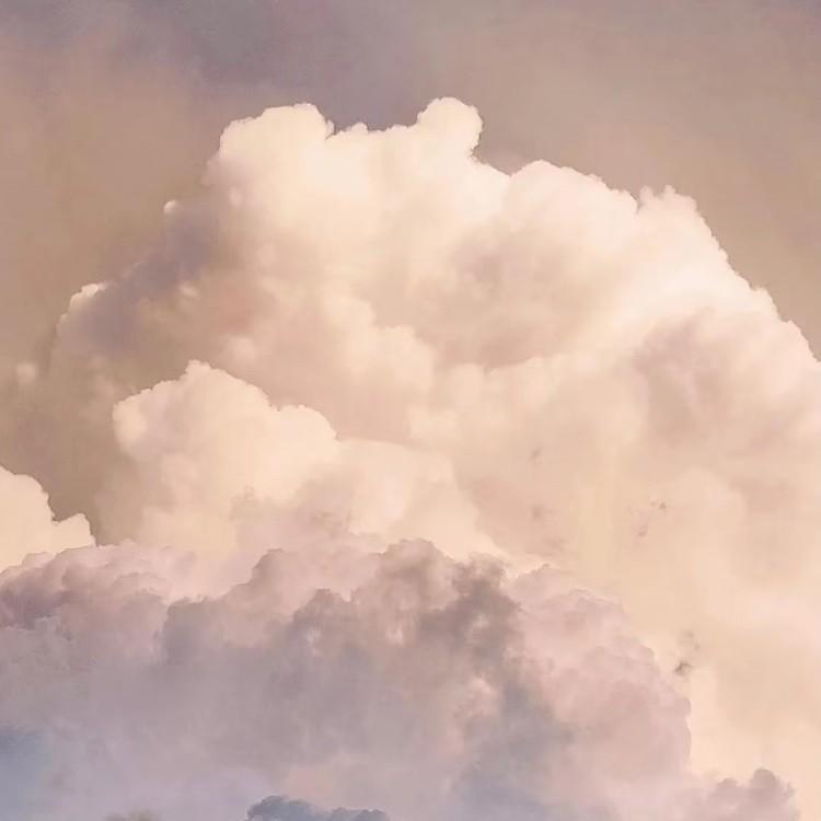 趁早 banner