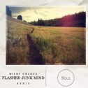Flashed Junk Mind(filous Remix)专辑