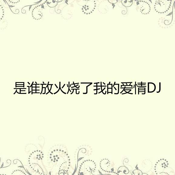 是谁放火烧了我的爱情 (DJ版)专辑