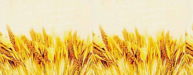 网易云音乐 听见好时光