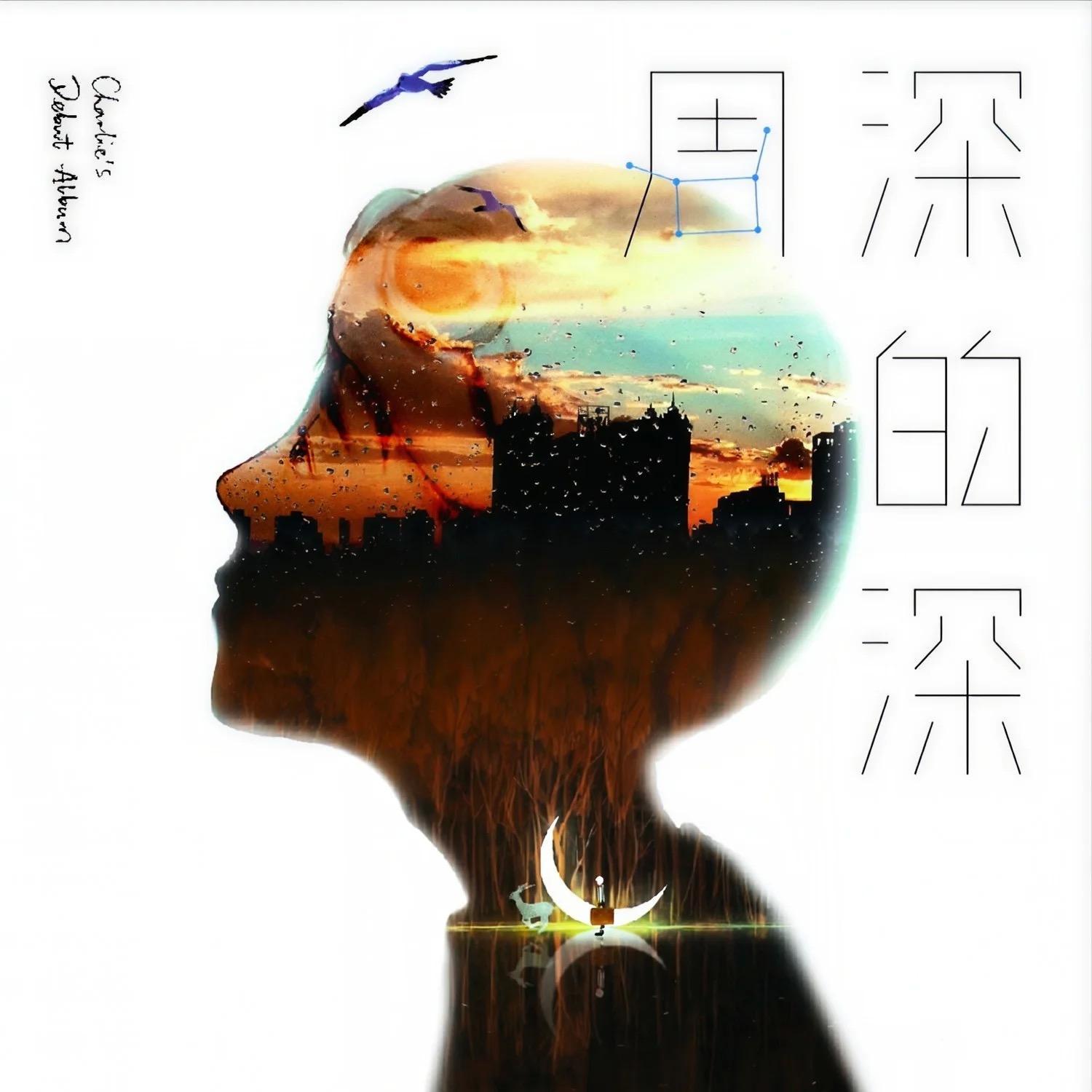 大鱼 (唱片版) banner