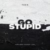 Teek - Go Stupid