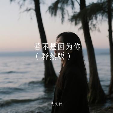 若不是因为你 (Remix) banner