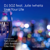 DJ SGZ - Live Your Life (Instrumental) [feat. Julie Iwheta]