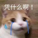 每周日周练