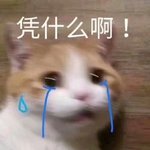 每周日周练