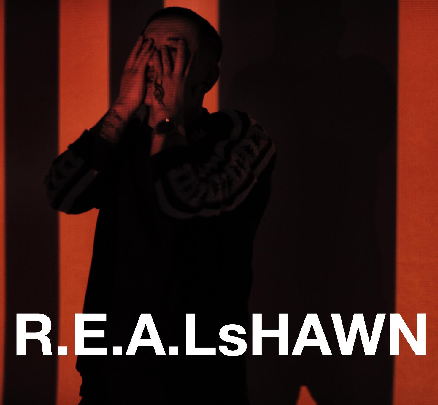 R.E.A.LsHAWN DJ专辑