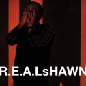 R.E.A.LsHAWN DJ专辑