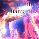 Burning Aquamarine专辑