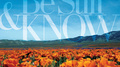 Be Still & Know: Instrumental Songs Of Faith专辑