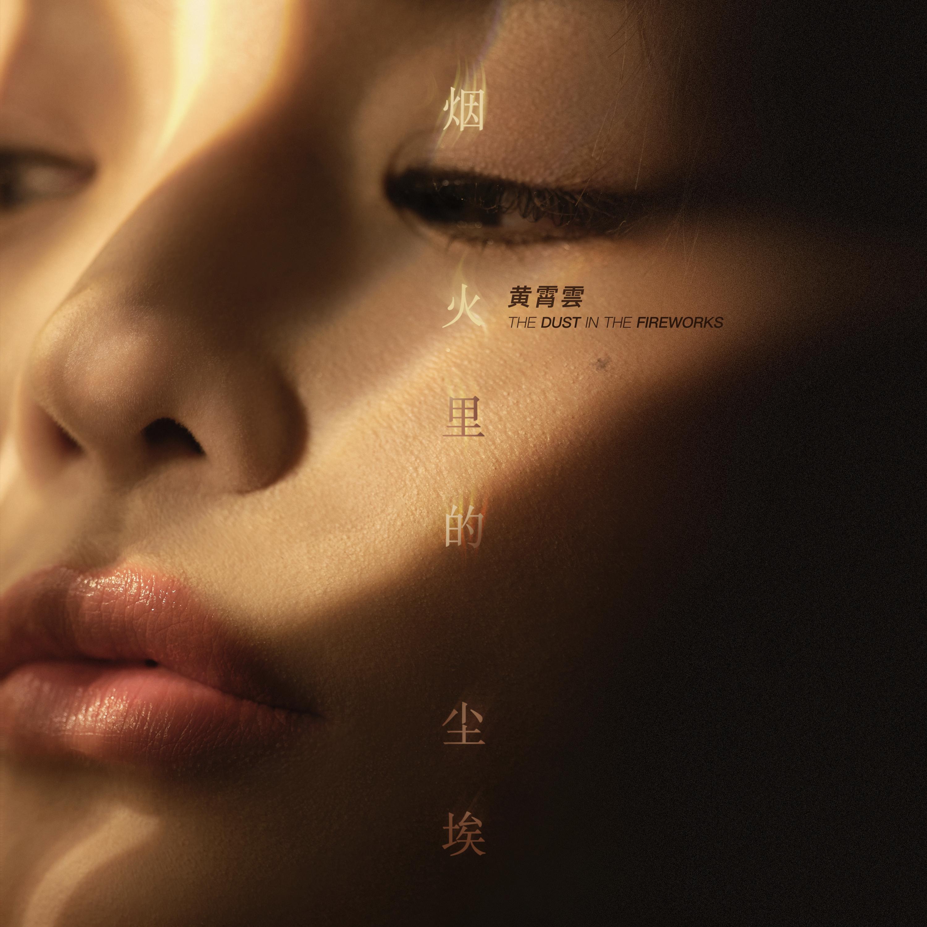 烟火里的尘埃 海报