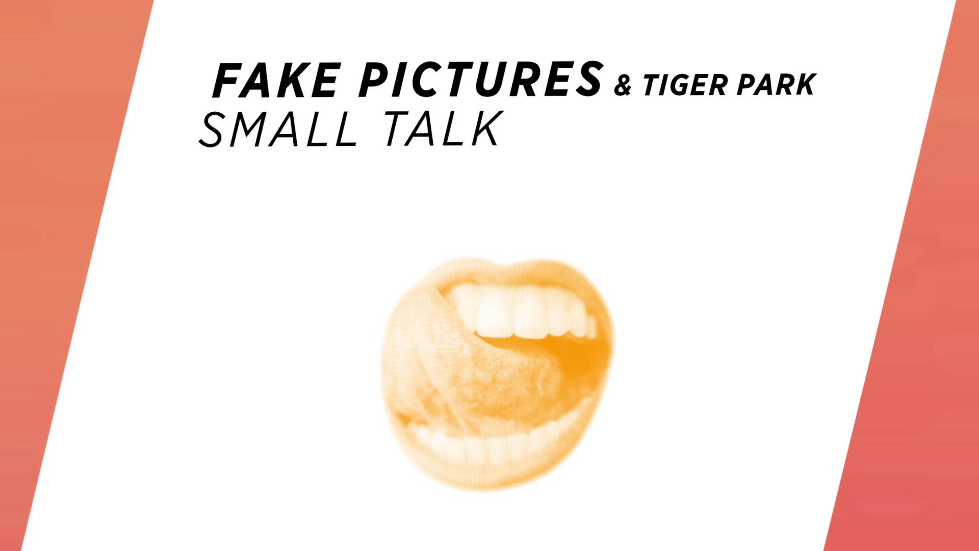 Fake Pictures - Small Talk (Visualiser)