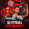 Dj Samrio - Só Pitbull do Flamengo