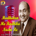 Madhuban Me Radhika Nache Re (Cover Version)专辑