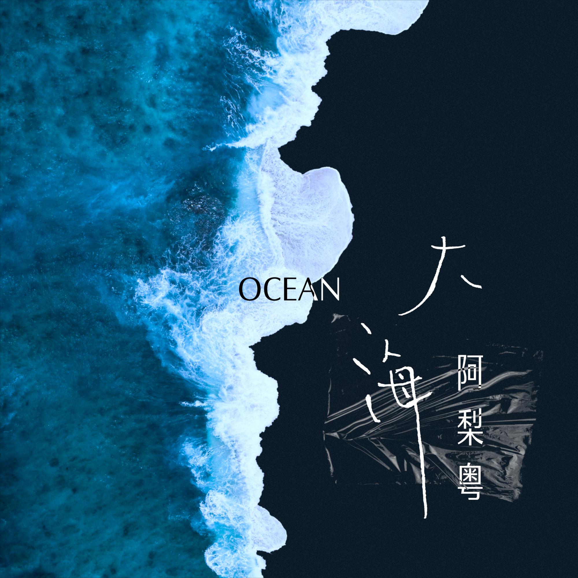 大海 海报