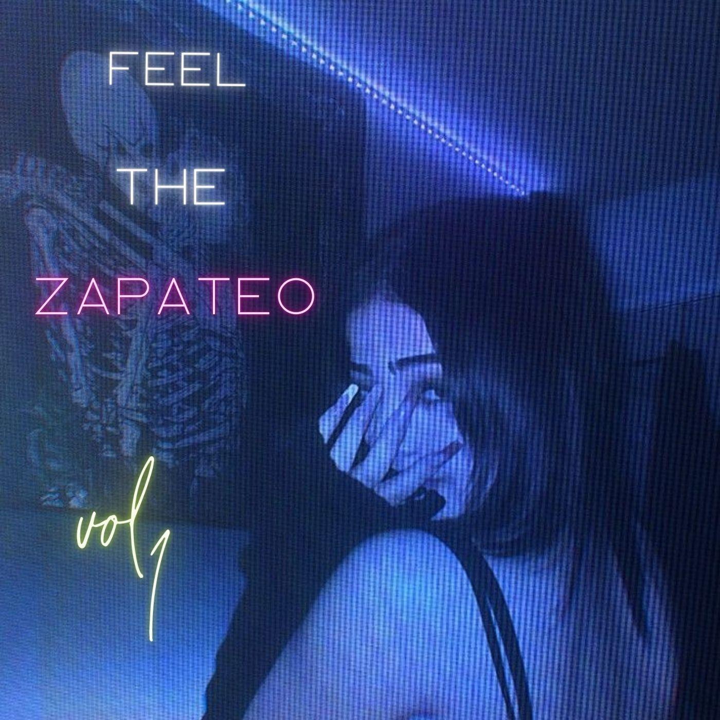 Feel The Zapateo, Vol. 1 banner