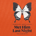 Met Him Last Night (Dave Audé Remix)专辑
