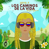 Joys T - Los Caminos de la Vida (Versión Reggae)