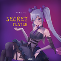 Secret Player专辑