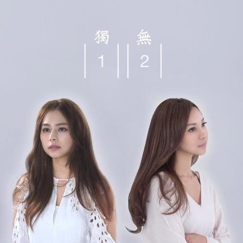 独一无二 海报