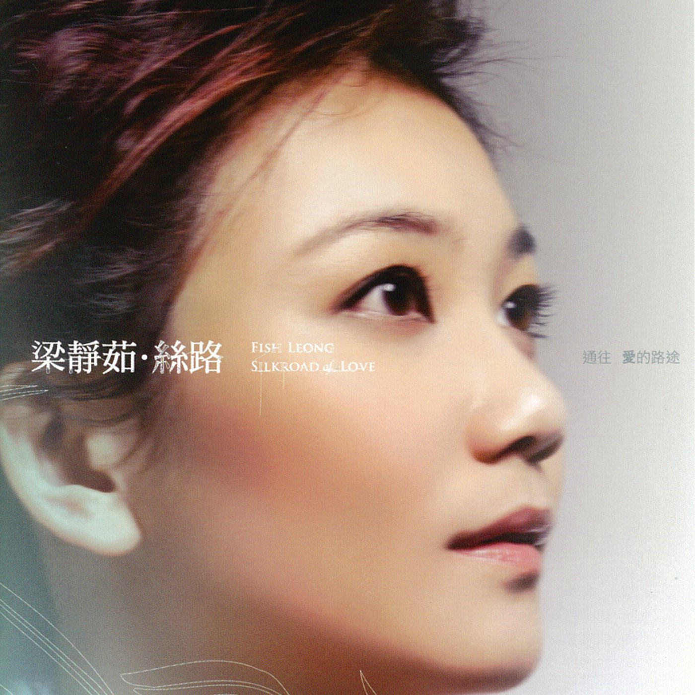 丝路 banner