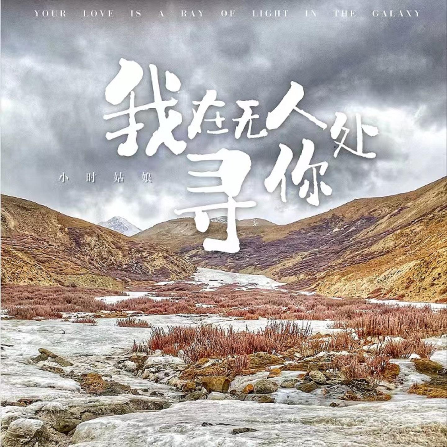 我在無人處尋你 海報