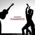 Flamenco专辑