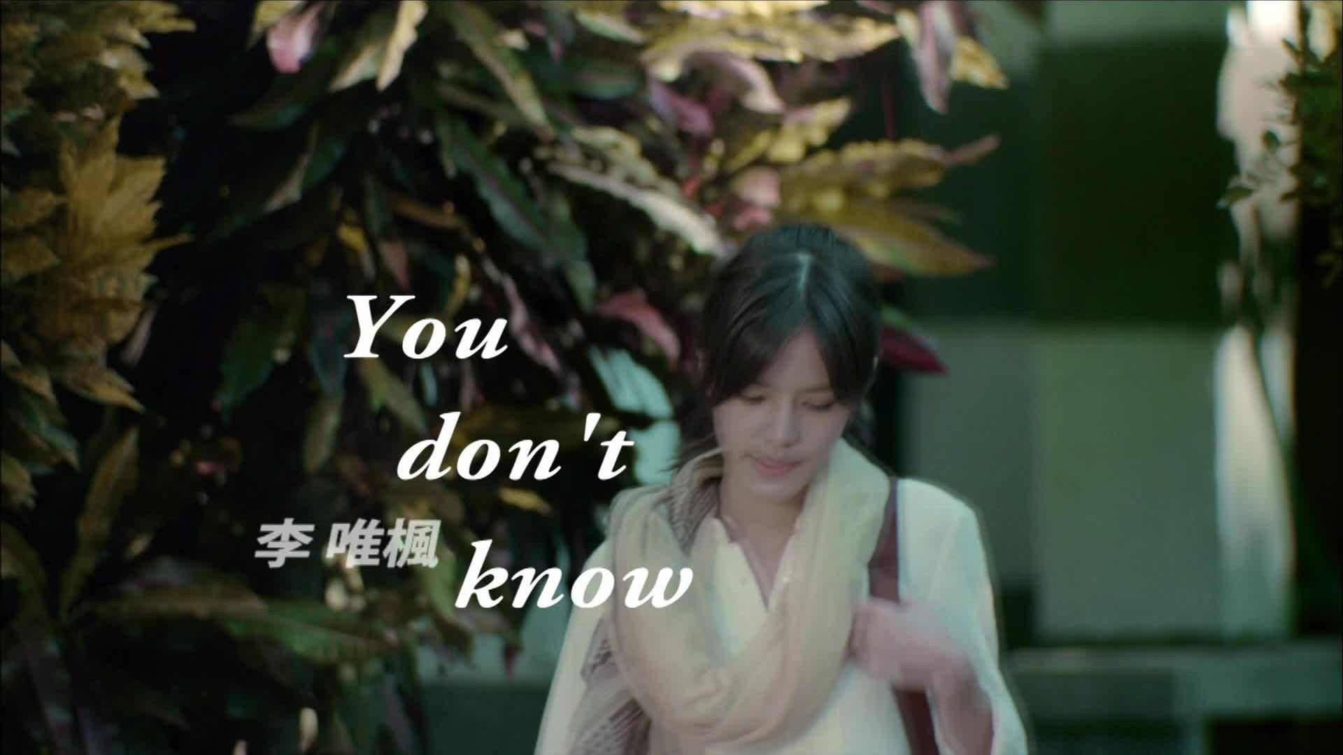 李唯枫 - You don't know