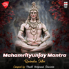 Ravindra Sathe - Mahamrityunjaya Mantra