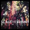 Scale The Summit - Redwoods
