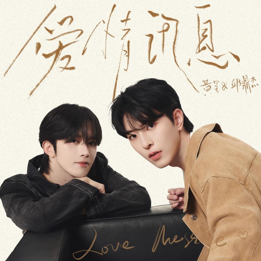 爱情讯息 海报