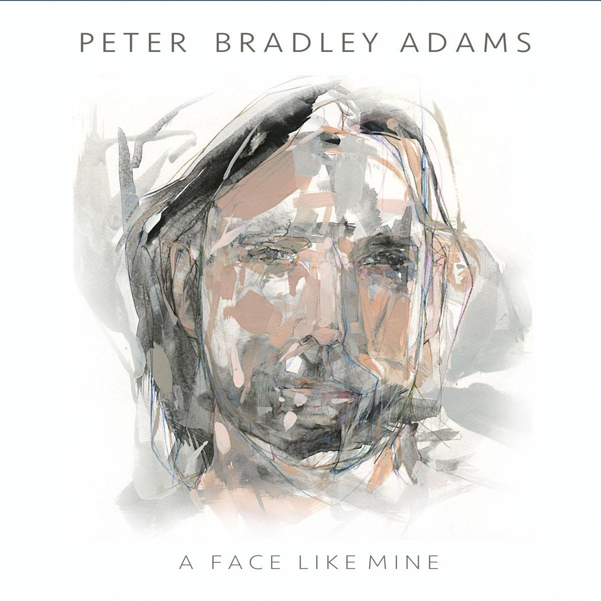 Peter Bradley Adams - My Arms Were Always Around You 醉乡民谣