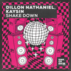 Dillon Nathaniel - Shake Down