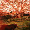 Hopeless [EP]专辑