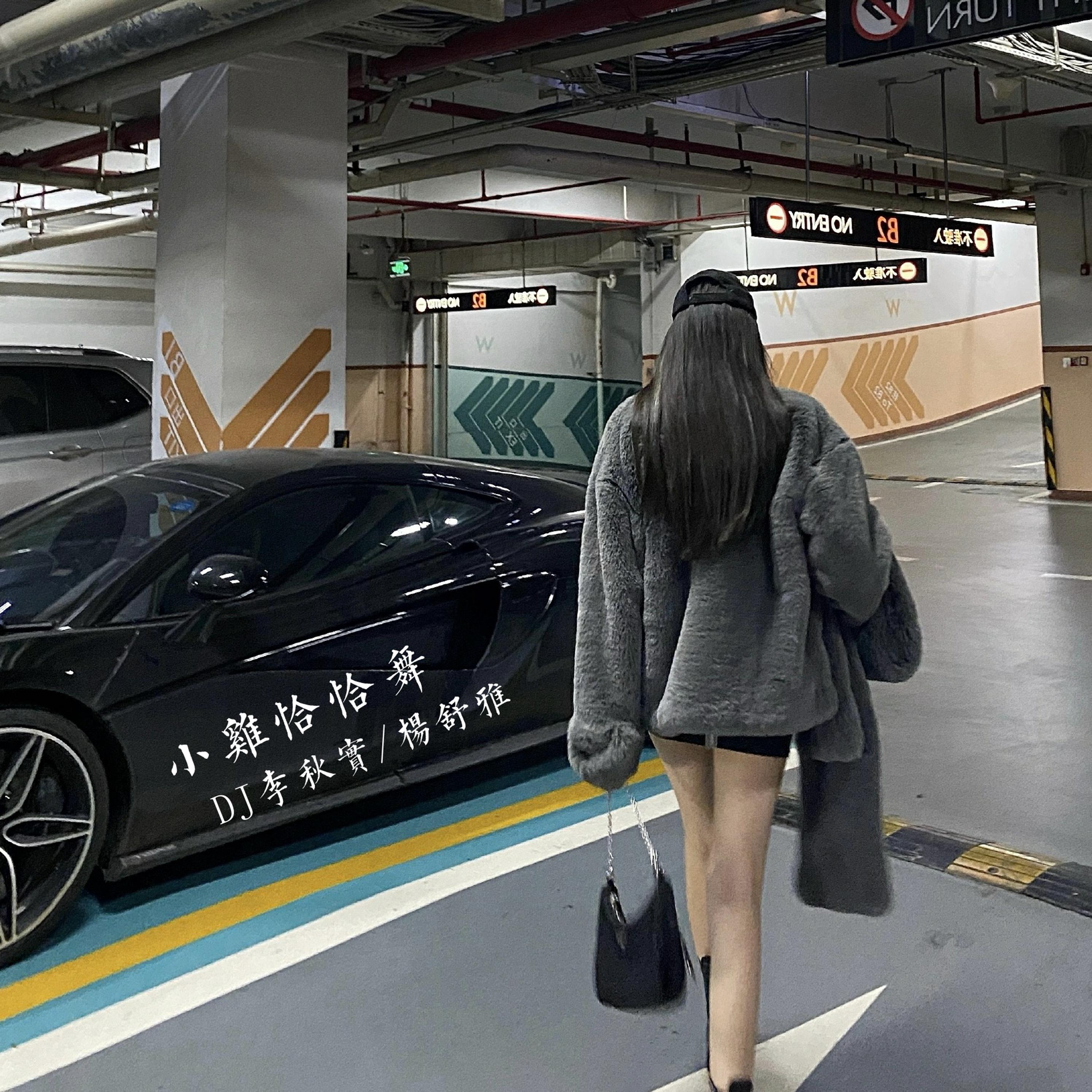 只爱西经yyds (DJ版) 海报