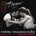 Estoy Enamorado (Instrumental Version)