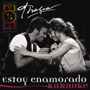 Estoy Enamorado (Instrumental Version)