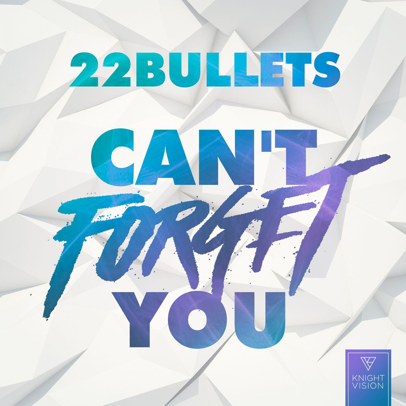 Can\'t Forget You专辑