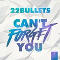 Can\'t Forget You专辑