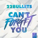 Can\'t Forget You专辑