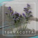 Terracotta专辑