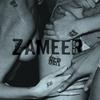 Zameer Rizvi - You Lied to Me