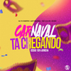 Dj VN Maestro - Carnaval Ta Chegando - Versão 100% Arrocha