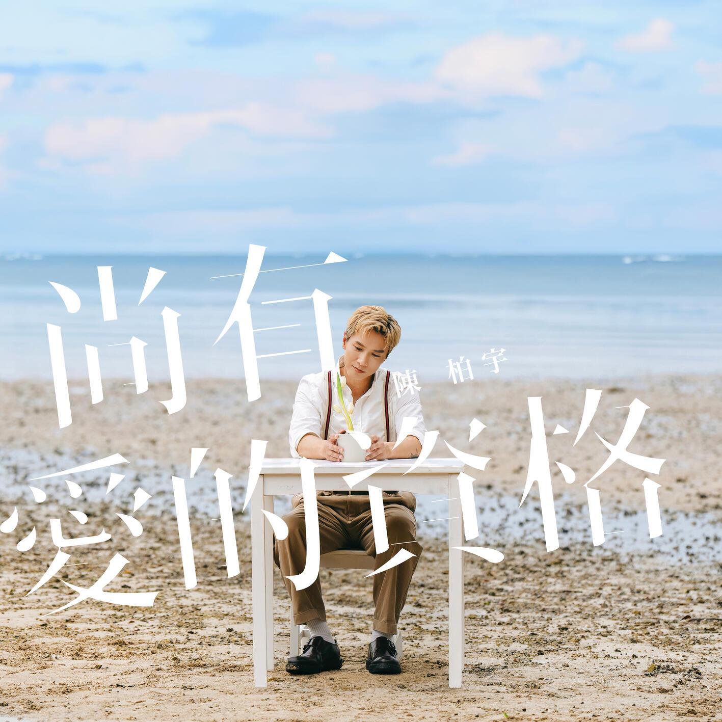尚有愛的資格 海報