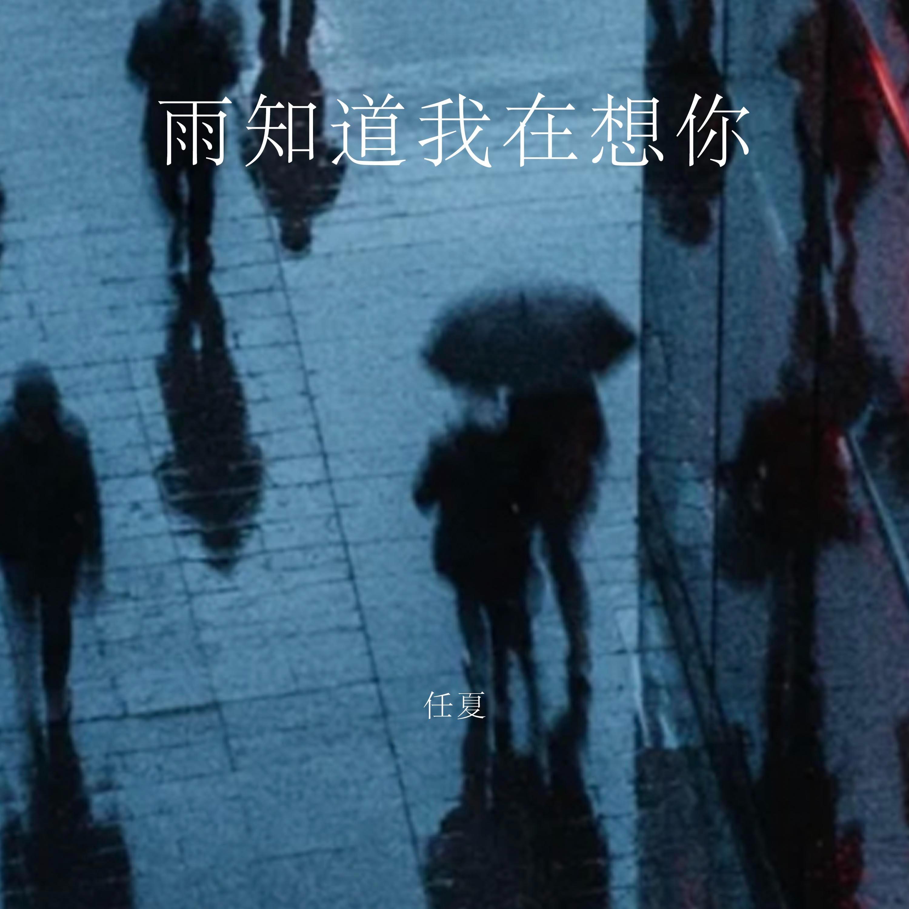 雨知道我在想你 海報