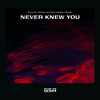 Wilhelm Travers - Never Knew You