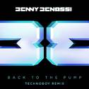 Back to the Pump (Technoboy Remix)