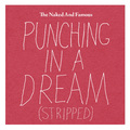 Punching in a Dream (Stripped)