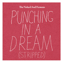 Punching in a Dream (Stripped)专辑