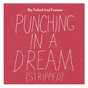 Punching in a Dream (Stripped)专辑